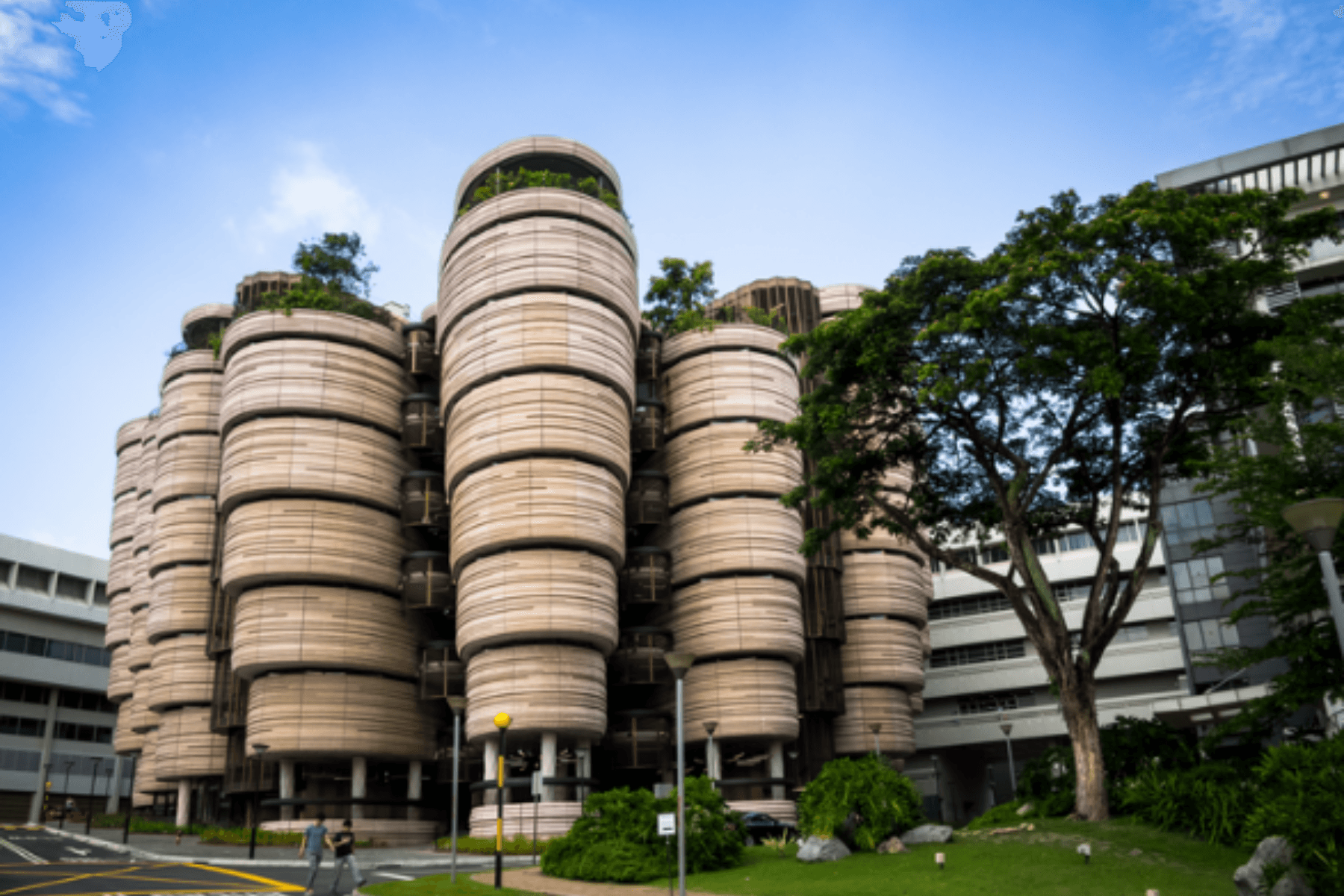 Mau Kuliah di Luar Negeri? Coba Daftar ke 6 Universitas Terbaik di Asia Ini