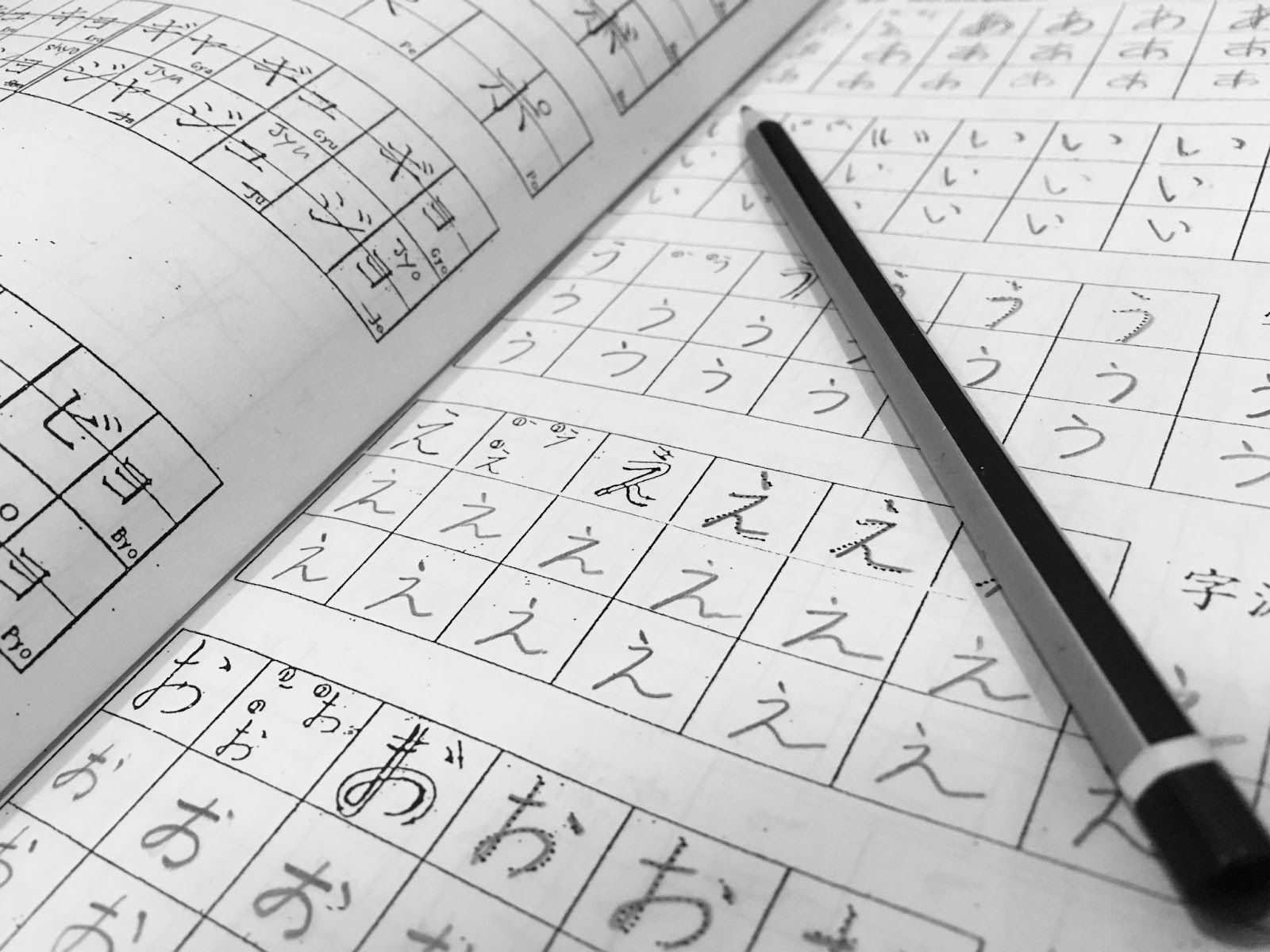 Mau Merantau ke Jepang? Pahami Dulu tentang JLPT Indonesia